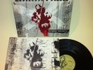 Linkin Park Hybrid Theory LP Vinyl