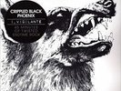 LP Crippled Black Phoenix - I, Vigilante unplayed mint rare