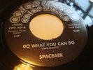 SPACEARK - DO WHAT YOU CAN DO - EXCELLENT