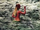 Stefano Torossi (Jay Richard & Gary Stevens) Feelings LP