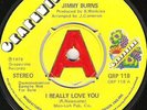 Jimmy Burns - I Really Love You - Grapevine - DJ - N/SOUL / Mod