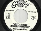 northern soul 45 THE CONTOURS: Just a Little Misunderstanding (Gordy) promo VG+