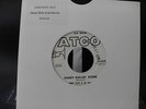 Jimmy Ricks & the Raves  - Daddy Rollin Stone - 45  Mod R&B, Popcorn, Soul  - EX