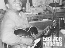 Big Joe Williams - Tough Times LP + MP3 Download (New/Sealed) 9-string guitar