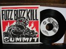 Fuzz Buzz Kill Summit 7