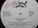 SKYY- HERES TO YOU-PROMO SALSOUL SG 339 DJ-DISCO FUNK SOUL BOOGIE 12
