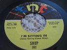 DOO WOP   SHEP   I'M SITTING IN / FOOL TO FOOL   MINT   TNT RECORDS