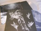 2 Agalloch LPs From Which This Oak Picture Disc Marrow Of The Spirit Clear Vinyl