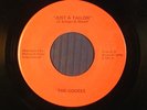 The GOOSES Ohio power pop 45 JUST A TAILOR / IS IT NEW?    VG++
