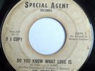 RARE NOTHER SOUL 45-SYL JOHNSON-DO YOU KNOW WHAT LOVE I