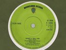 Colin Hare - Didn't I Tell You (Honeybus) 7