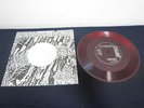 Loredana Berte Volevi Un Amore Grande Japan Promo only Red Flexi Italian Rock