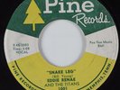 R&B Rocker 45 EDDIE RENAE & TITANS Snake Leg PINE HEAR