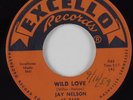R&B Rocker 45 JAY NELSON Wild Love EXCELLO HEAR