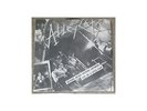 Alley Cats - Nothing Means Nothing Anymore - 7