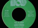 Charles Simmons & Ohio Majestics 