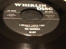 DooWop On Whirling Disc, The Channels 