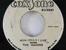 Reggae 45 SHARKS / JEFF & MARCIA How Could I Live / Words on Coxsone