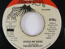 Reggae 45 TREVOR HARTLEY Africa We Going / African Dub on Black Roots