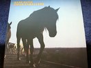 BABE RUTH, 1974 UK LP, AMAR CABALLERO,  * MINT-*, PROG, 1st Press, Harvest label