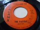 THE PASTELS 1966  MICHIGAN GARAGE ON PHALANX LBL CAUSE I LOVE YOU LISTEN