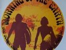 MORNING OF THE EARTH ABERT FALZON VINYL LP 12