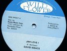 DAVID ISSACS - JAH LOVE I - SERIOUS ROOTS MUSIC LISTEN