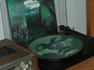 if these trees could talk lp above the earth below the sky caspian