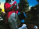 A&M | J.J. Cale - Naturally 180g LP