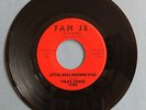 Wisconsin Garage Teen 45 Vilas Craig Little Miss Brown Eyes / Poor Looser Jan Jr