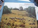 Popol Vuh - Letzte Tage, letzte Nächte