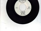 Doo Wop 45 Sunny Little Girl/Why are the nights so cold The Riffs 1964