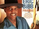 PP | Eric Bibb - Friends 180g LP (2LP)