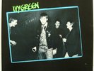 IVY GREEN * 1978 Dutch PUNK KBD LP Orig ED1 on Pogo. MINT archive copy. TOP LP.