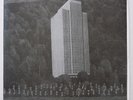 Grandaddy, Beachwood Sparks, Persil - split 7
