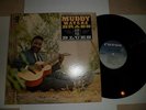 MUDDY WATERS 
