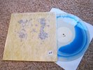 PORTUGAL THE MAN CHURCH MOUTH LIMITED NOFX SOLD OUT DEJA ENTENDU