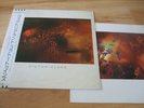 COCTEAU TWINS 
