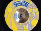 MICHAEL PROPHET Struggler on PROPHET ** digital roots 7