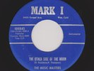 EXOTIC Guitar Instros MUSIC MASTERS Other Side Of the Moon/Vapor Trails HEAR NOW