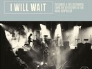 MUMFORD AND SONS I WILL WAIT 7