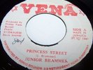 JUNIOR BRAMMER VENA 45 PRINCESS STREET. LISTEN