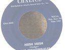 Memphis Gospel R'n'B 45-Dixie Nightingales-Hush Hush / Assassination-Chalice