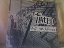 the HATED what was behind LP RARE & OOP moss icon INDIAN SUMMER emo HC punk IDA