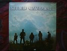 MIND GARAGE rare 1st lp orig 69  bluesy fuzz psych nm top sealed