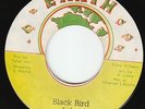 Little Roy - Black Bird - UPSETTER MURDER