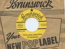 Rare Doo Wop 45 - The Sugarmints - You'll Have Everything - Promo - LISTEN