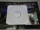 Cocteau Twins: Treasure Test Pressing Vinyl