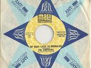 EMPERORS My Baby Likes To Boogaloo Soul Funk Mod 45