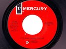 RIDDLES - It's One Thing To Say | Awesome 60's MOD GARAGE PSYCH DANCER- HEAR